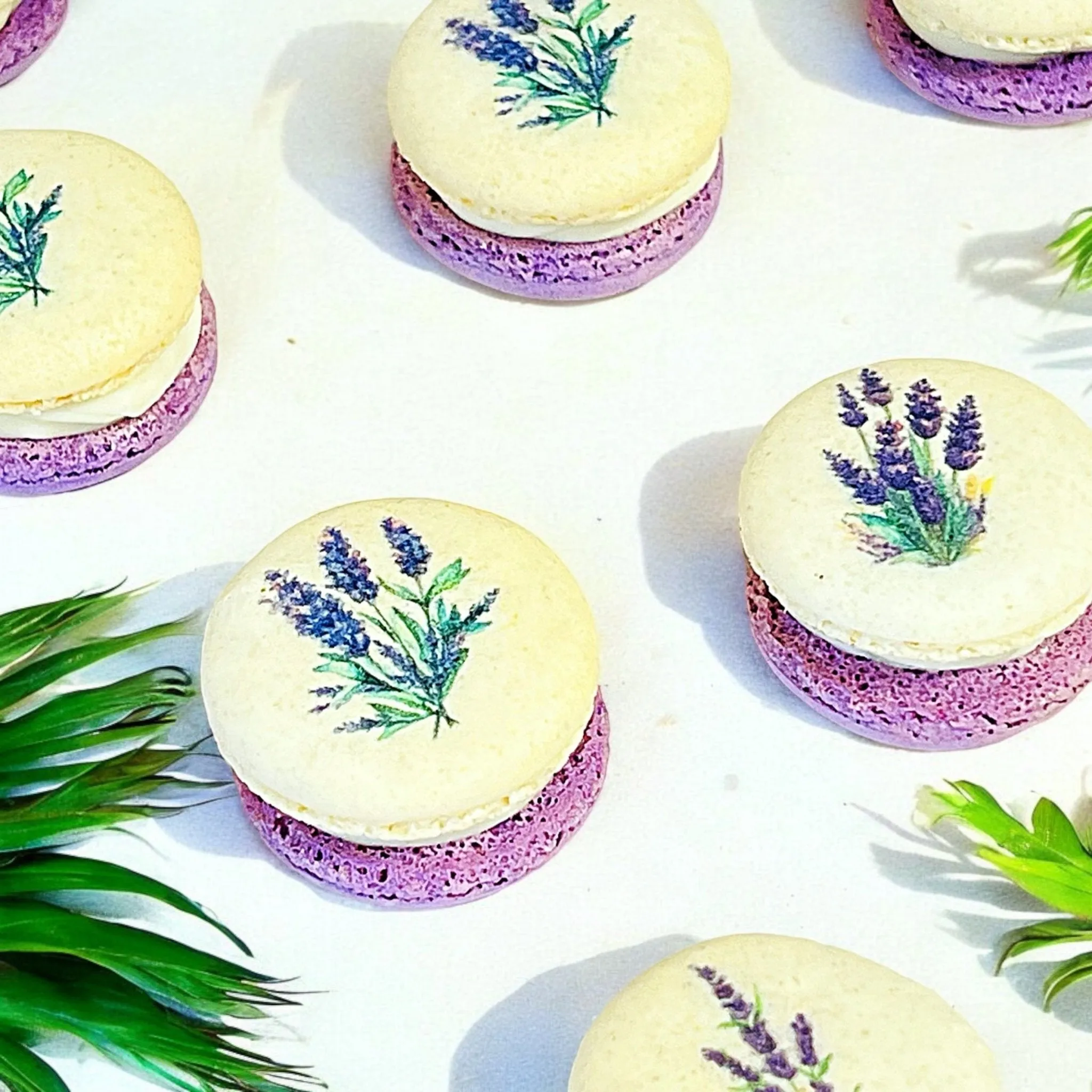 Customizable Lavender French Macarons Set