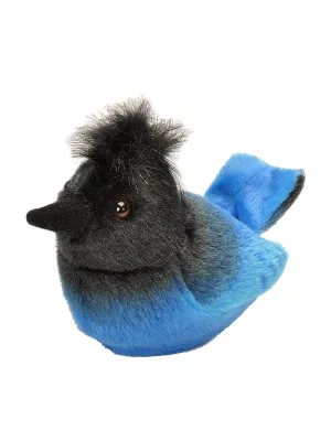 Steller's Jay Stuffed Animal